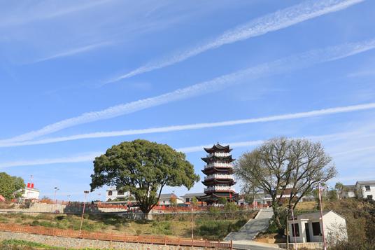 植根乡土三十年