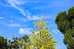 教孩儿之歌 教孩儿之歌