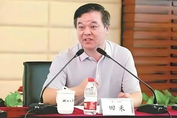 在湖北吴会年会上的讲话