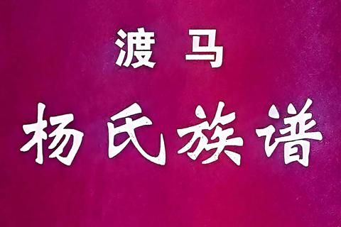 渡马杨姓大朝公后裔字派引