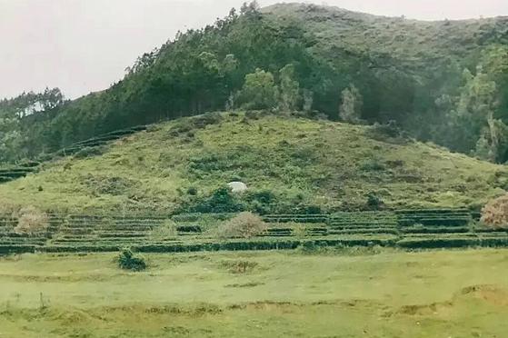 广东吴氏種德堂丙午年春分拜祖通知