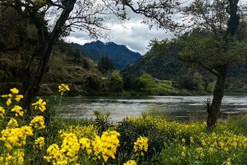 贺太公陵修缮诗文之义户十修宗谱及太公陵修缮诗文