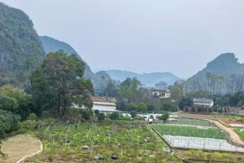 从篪公生平探其生年