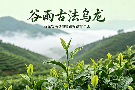 谷雨帖：福德村的古法乌龙告白书