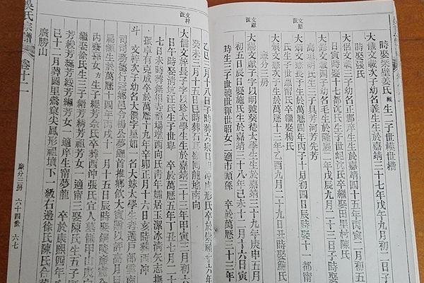 老田廉分三房吴文梓次子支谱