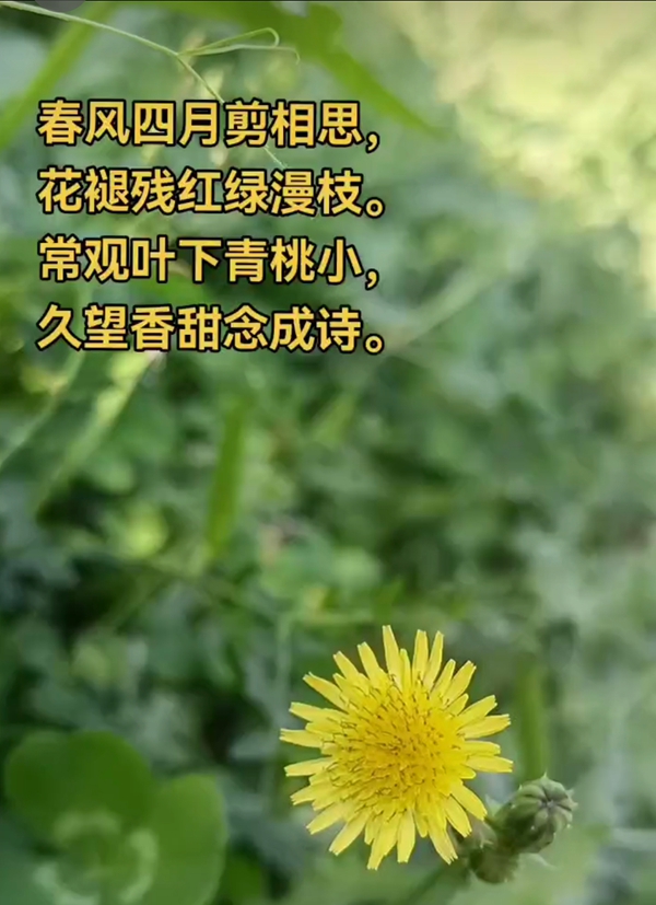 江南好