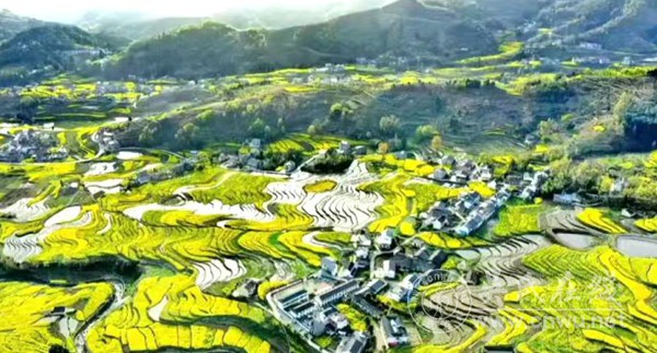 陕西汉阴县漩涡镇吴姓人口在陕西名列榜首