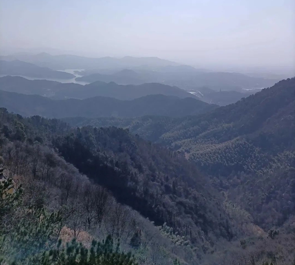 清.吴瑾诗三首