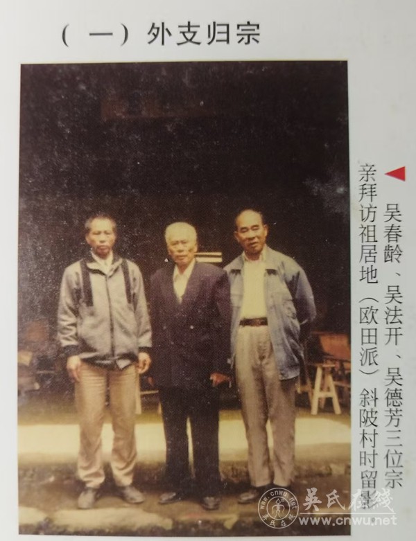 植根乡土三十年