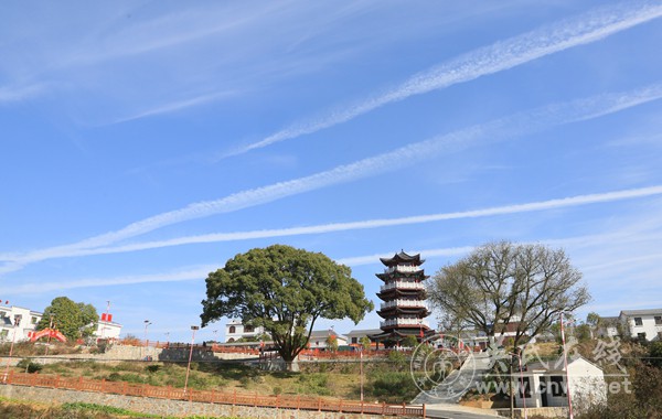 植根乡土三十年