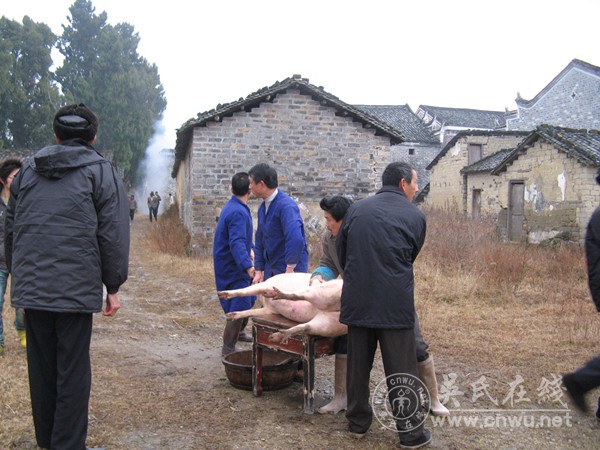 植根乡土三十年