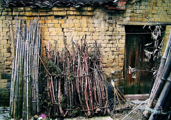 儿时砍柴记忆新