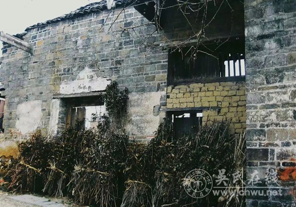 儿时砍柴记忆新