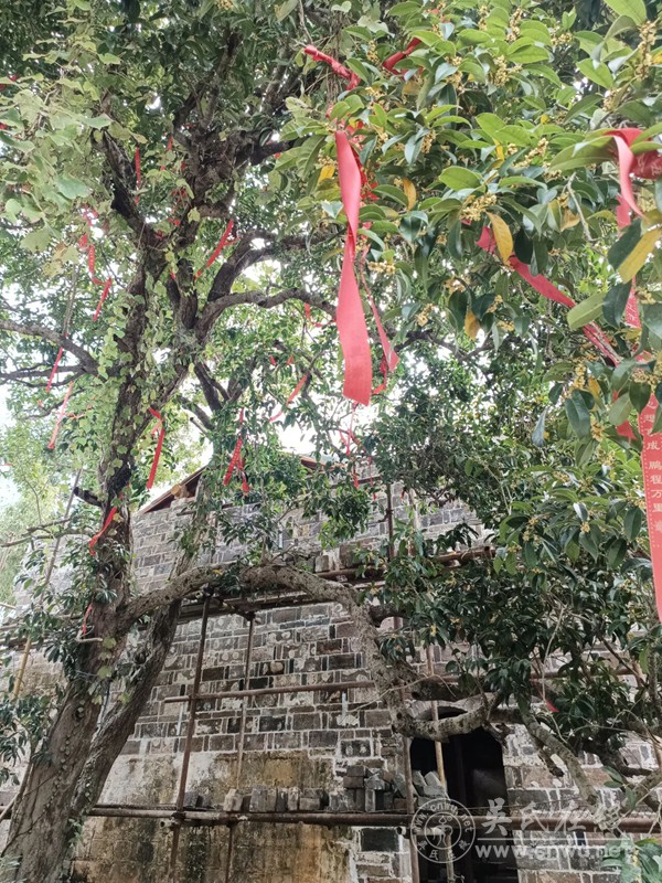 慕亲堂记 慕亲堂记