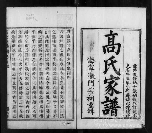 有哪些方法可以让家谱看起来更有趣