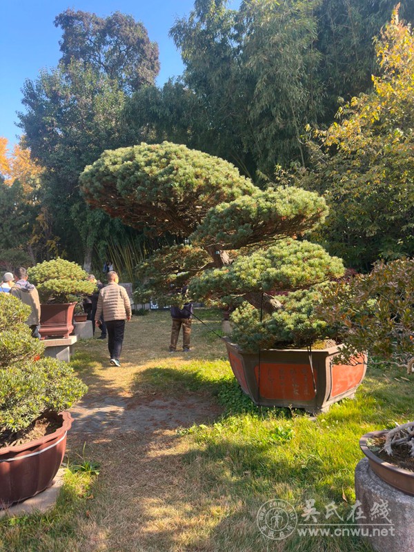 水韵如皋,文脉寻踪:吴文化研学之旅纪实 水韵如皋,文脉寻踪:吴文化研学之旅纪实