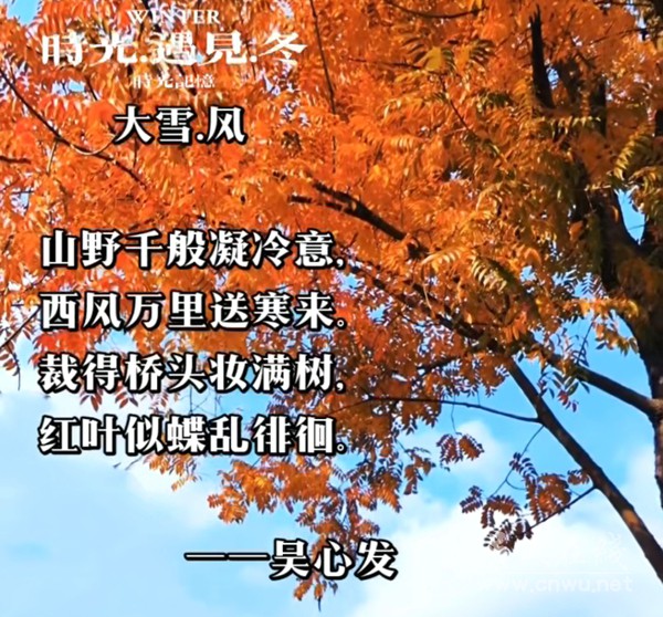 时光.遇见.冬 时光.遇见.冬