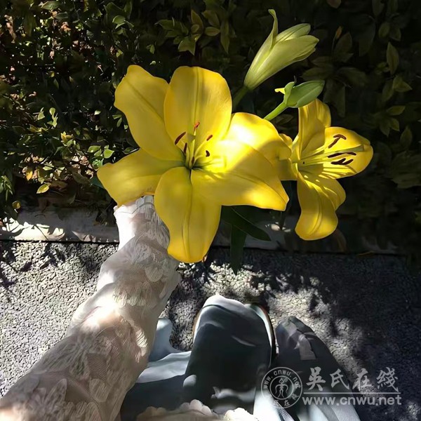 “爱你老己”:2025年末爆火的热梗,藏着一代人的自我救赎 “爱你老己”:2025年末爆火的热梗,藏着一代人的自我救赎