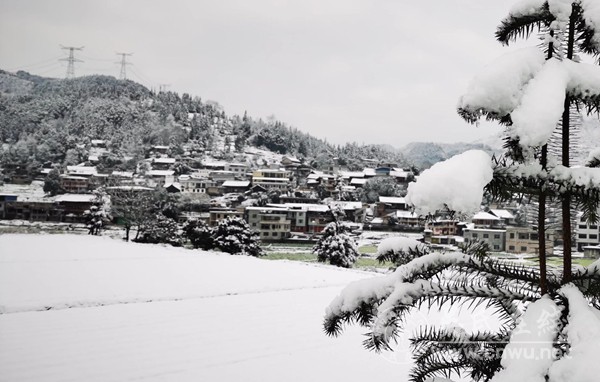 大寒冰封土司城的守望者