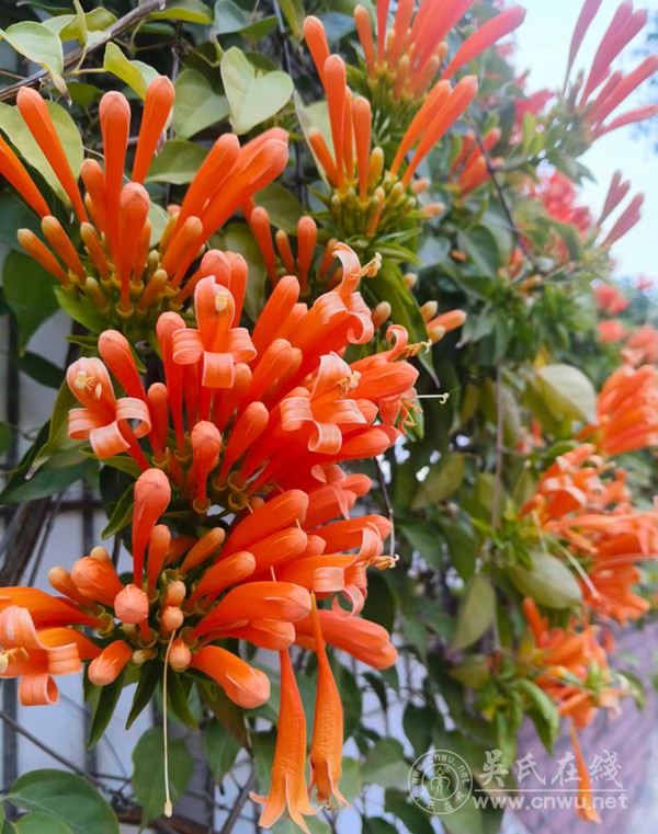 跨越山海：家，是春运最美的终点