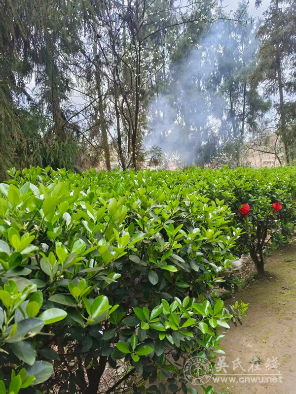 真的,别再逼i人变e了 真的,别再逼i人变e了