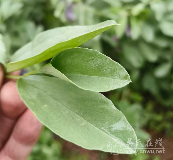 真的,别再逼i人变e了 真的,别再逼i人变e了