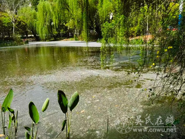 春雨(外两首) 春雨(外两首)