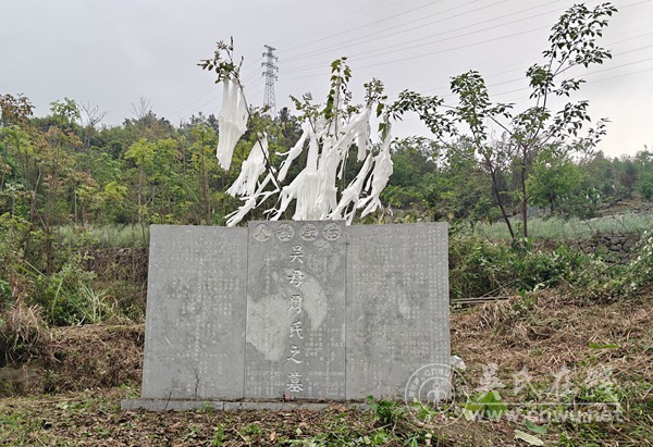 罗甸吴传明支系清明挂清扫墓寻宗支 罗甸吴传明支系清明挂清扫墓寻宗支