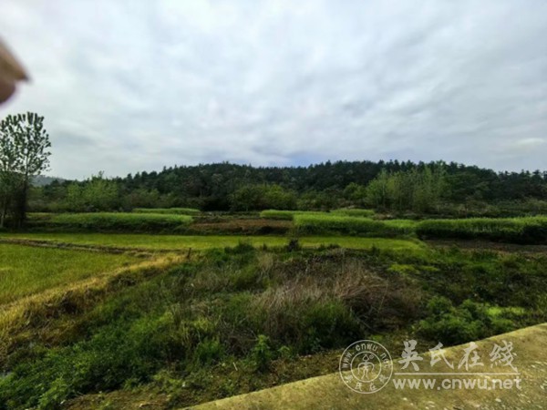 麻城孝感寻根问祖之行